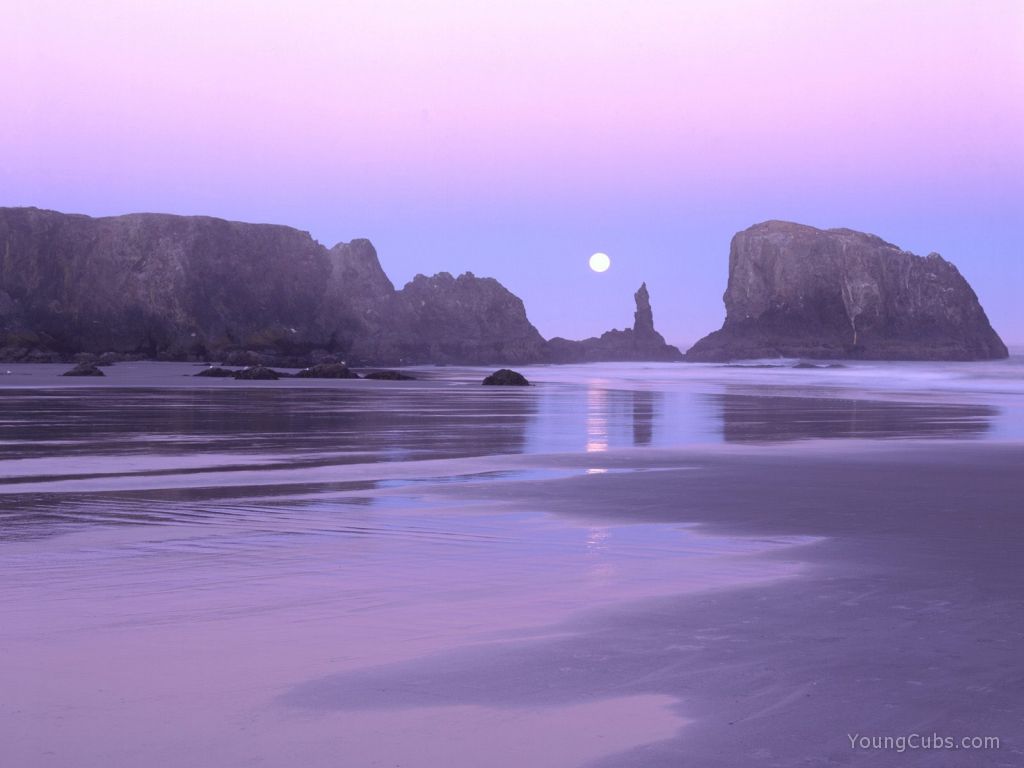 Moonset over Coquille Point, Oregon Islands, Oregon